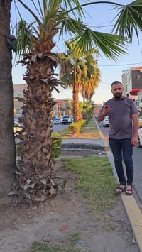 بشرة سارة الى متابعين شركة الصروح هاي المفاجئة الي كلتلكم بيهة  للبيع ...