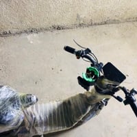 عندي هاي شحن نضفاتها نفس ما موضح بل صورة سعرها 150 5بطاريات سرعتها 70 ...