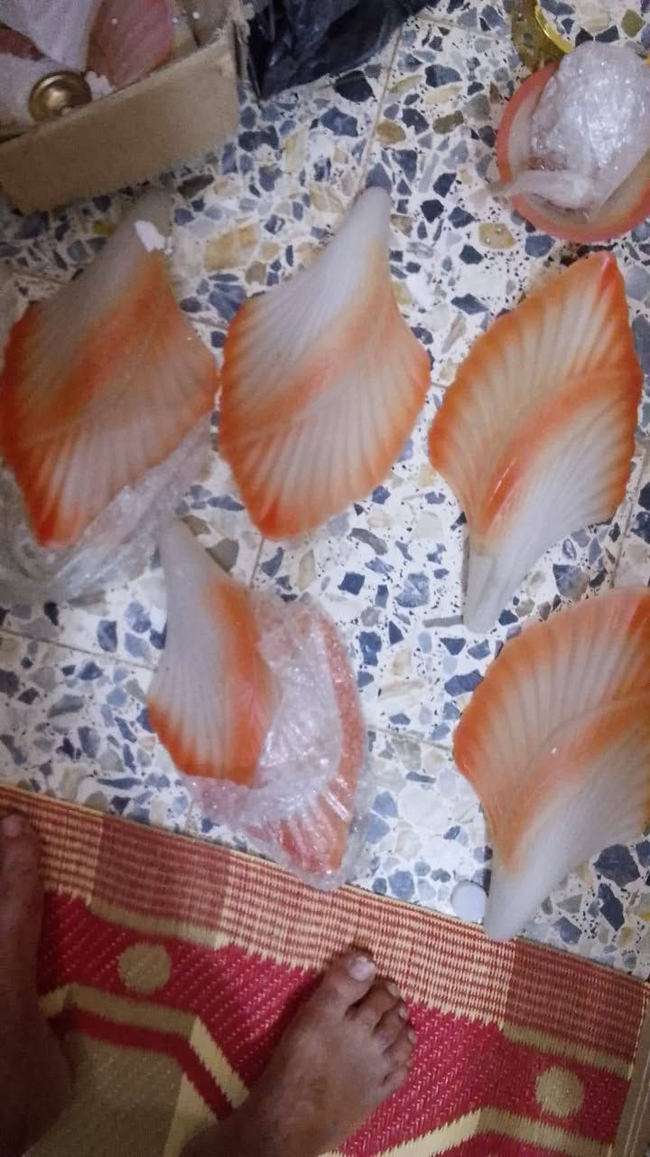 جربايه سعر 100 ذني على 30


**إذا كنت صاحب هذا الإعلان وتريد حذفه لأي سبب، رجاءا أرسل رسالة إلى الدعم الفني**
