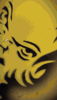 نامه شاصي 23اوراق سكنر ولتعميره 25 محرك رابيدو ما مفتوحه حته تفيلس ما فيلسه دراجه جديده مامتعوبه مكان شطره سعر خاص ***********
