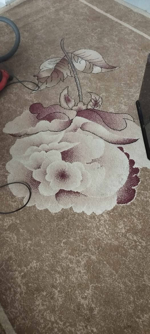 زولي مستعمل حجم 3*4 نظيفة 
بدون حرق وبدون شك ..تركي الصنع
الهاتف *********** أربيل, العراق
