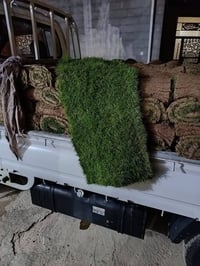 🌿 ثيل طبيعي بجودة ممتازة – هندي درجة أولى 🌿  ✨ مثالي للاستخدام في: 🏡 ا...