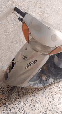 دراجه عصفوري البيع كايمه وسعر 175 /رقمي ***********
