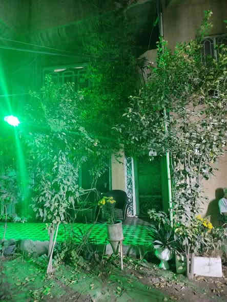 بيت للبيع حي الجزائر فرع صيدليه مرجان اول فرع على اليسار مساحه 300مع مشتمل سعر400
***********
