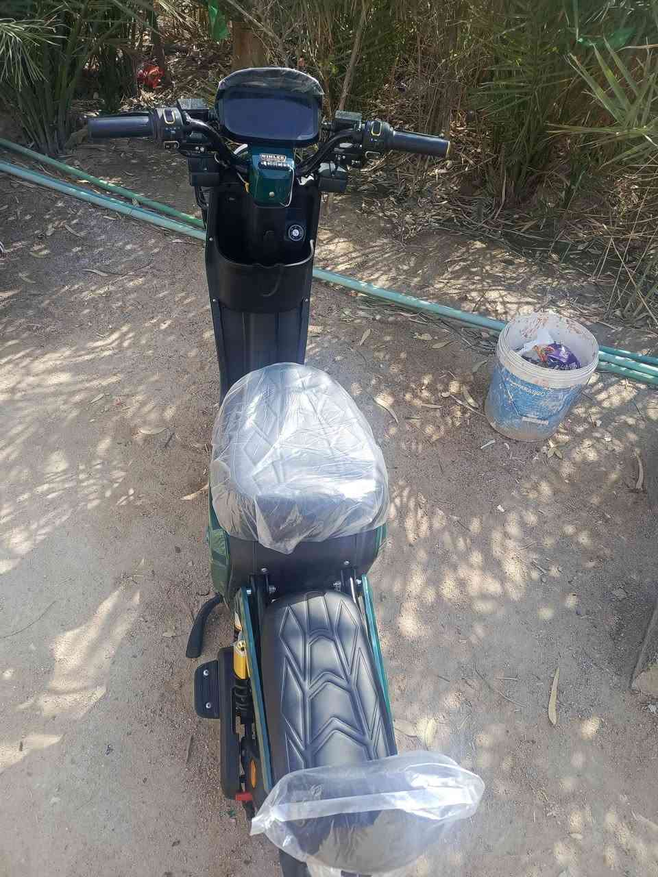 الحلال للبيع كفاله شتريناهامن الوكاله صايرله يومين السعر500
الرقم***********
