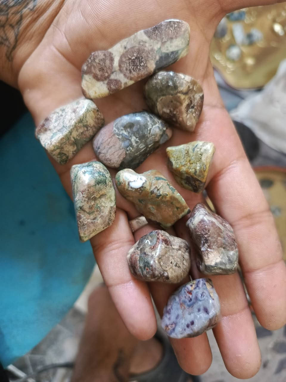 خامات طحلبي وحجار نهريه بحريه لقطعه على الف


**إذا كنت صاحب هذا الإعلان وتريد حذفه لأي سبب، رجاءا أرسل رسالة إلى الدعم الفني**