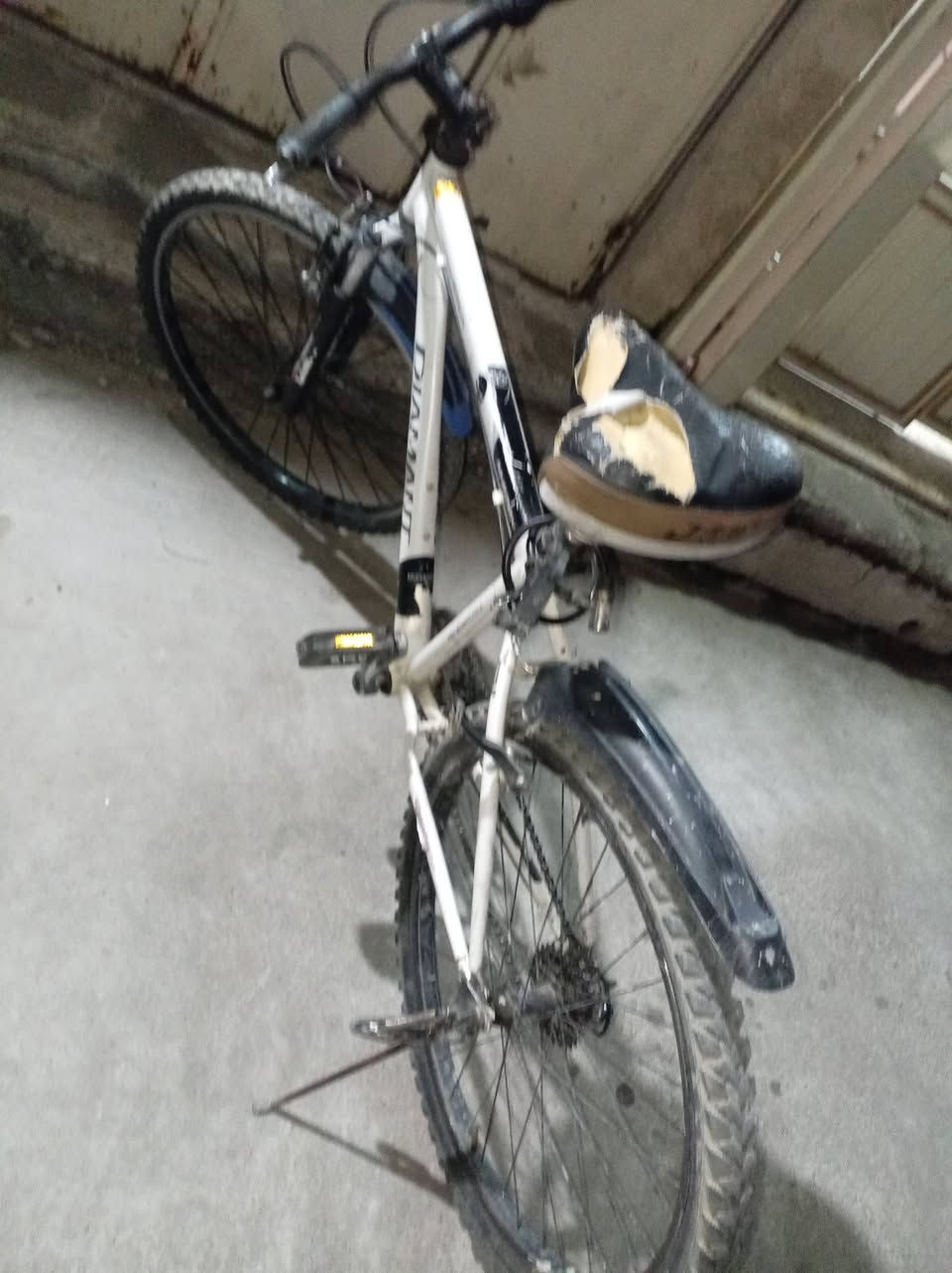 السلام عليكم اخوتي بايسكل جبلي للبيع حجم 26بايسكل نضيف بس ويل الوره يرادله تعديل االبايسكل كلو شغال ومكاني موصل جانب الايسر حي التحرير سايدين حي التحرير مقابل جامع ال البيت والسعر 60وبي مجال للطيبين غير متواجد خاص وهذا رقمي وبي وتساب *********** وملاحضه البايسكل ياباني

