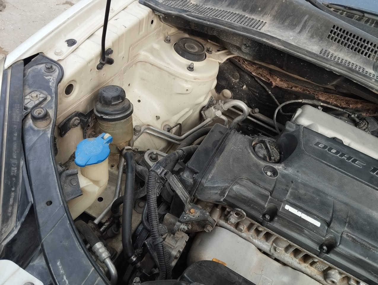 السلام عليكم اخوان  كيا سبورتج 2009 قاصرين و القاصرين ثنين  أعمارهم 9 و8 سنوات سونارها يم المندلاوي فحص شامل كلشي واضح كدامك مكينة كير كفالة السعر 80 وبيها مجال قليل 
ملاحظة : مسوين كتاب قسام شرعي 
رقمي: *********** رجاء اخوان الي مايشتري يعبر المنشور
