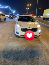 سبورتاج • ٢٠١٧ • وراد أمريكي