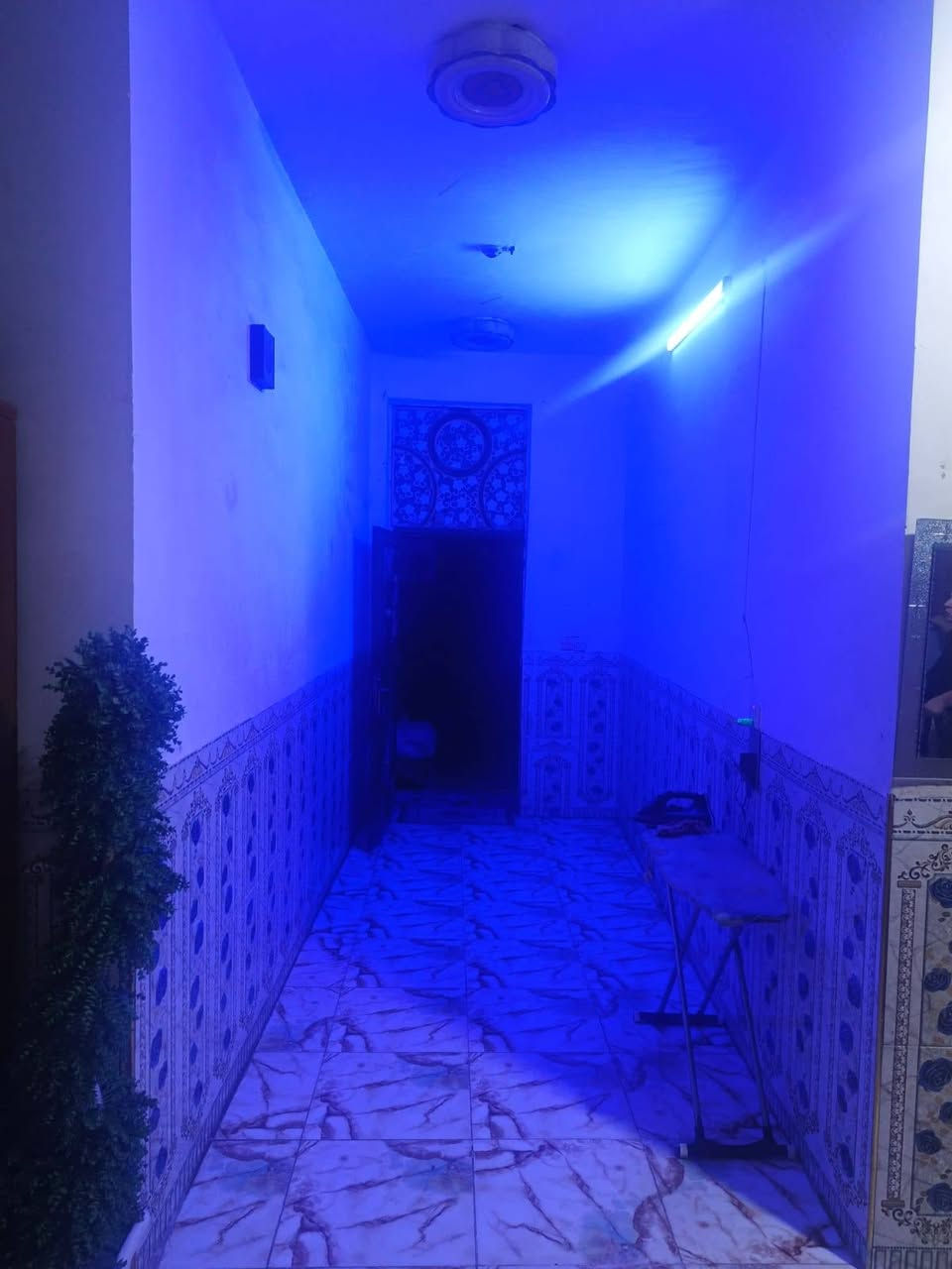 دار سكن زراعي عقد 117 كوت الكارضية البيضاء المساحه 250 بناء حديث طابوك السعر 45 وبي مجال رقم صاحب الدار
***********
***********
دار سكن زراعي عقد 117 كوت الكارضية البيضاء المساحه 250 بناء حديث طابوك السعر 45 وبي مجال رقم صاحب الدار
