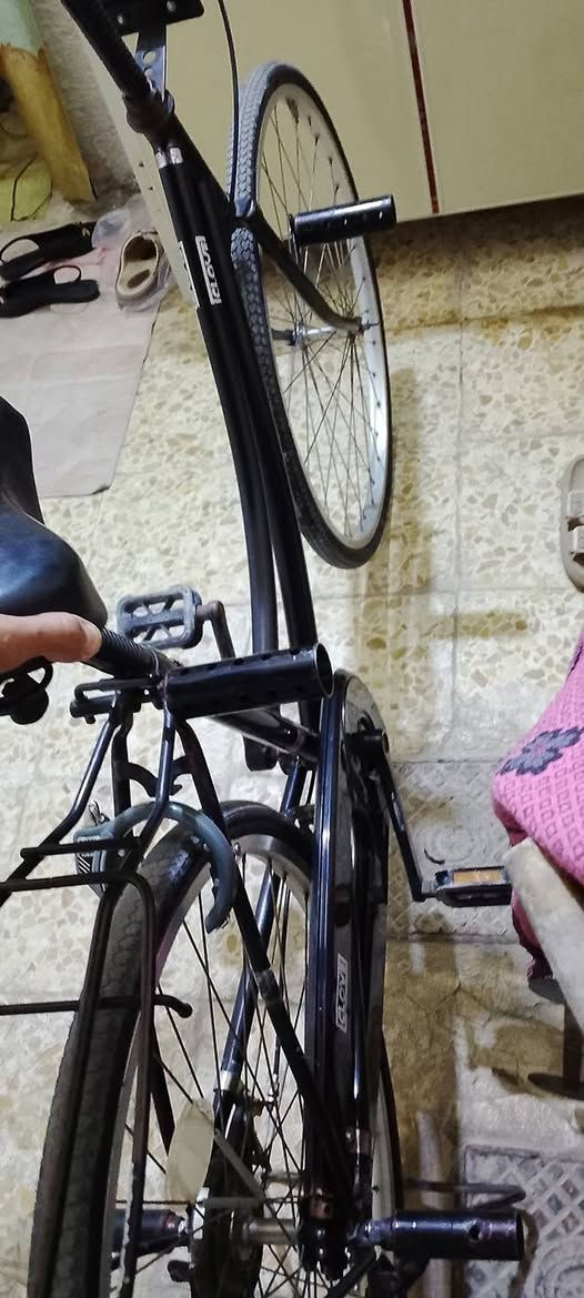 للبيع حاويه مديل 17سعر 100وبي مجال شراي


**إذا كنت صاحب هذا الإعلان وتريد حذفه لأي سبب، رجاءا أرسل رسالة إلى الدعم الفني**