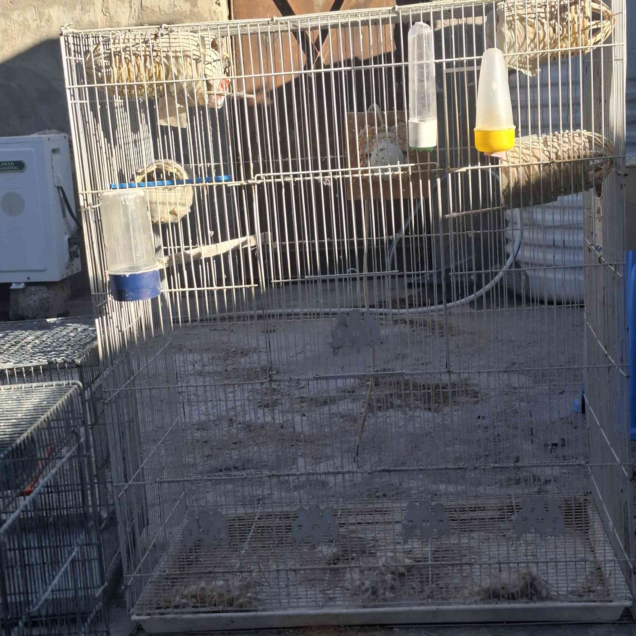 قفص للبيع سعر القطعه ٢٧ الف بها مجال


**إذا كنت صاحب هذا الإعلان وتريد حذفه لأي سبب، رجاءا أرسل رسالة إلى الدعم الفني**