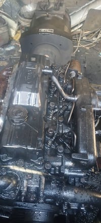 مولده للبيع 07802342969