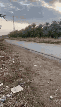 الراشديه سوامره • ١٠٠٠م • سند ٢٥ تحويل