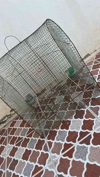 قفص • للبيع
