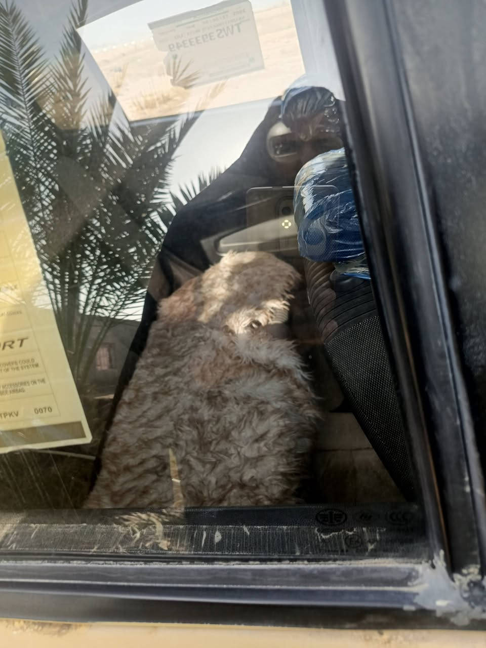 سنويه لل٣٠بسمي
مكينه وكير كورلا ١٦٠٠تنوني شاده
تخم تايرات ٤صارلهن شهر
حداديه٠جديده،+شاشه٠
سياره جاهزه+لايت زنون
تبريد بس ربط من حورت راح الغاز
السعر ٣٥ للستفسار ***********مكاني ناصريه غراف
