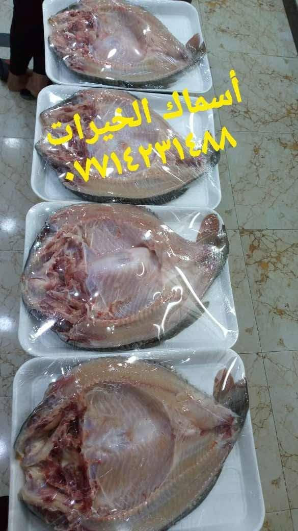 مجزره الخيرات 

سمك حي
سمك شوي 

***********
***********
