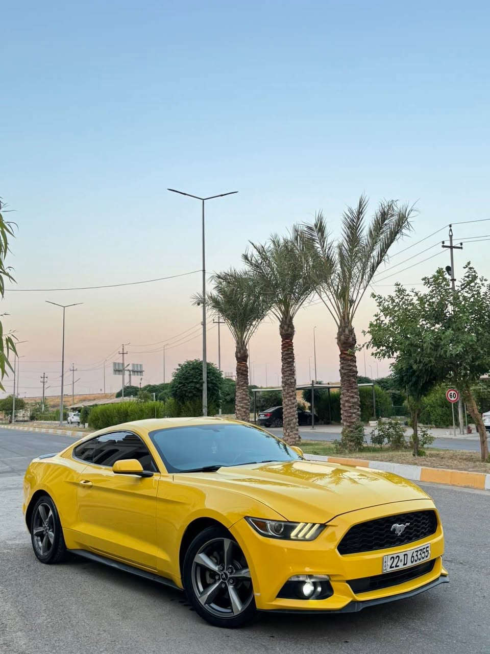 Mustang 2016 
موستانگ ٢٠١٦ بێ سبوخ بێ هەموو قەلبی لەسەر دەقی بیلادی مایتەوە و هەموو گیانی بیلادیە گیر مەکینە و سالنسە و هەموو شتی بیلادیە و ٨٥مایل رۆشتیە داوای ١٧٠ی لی دەکەم معامەلەی تیدایە أربيل, العراق


**إذا كنت صاحب هذا الإعلان وتريد حذفه لأي سبب، رجاءا أرسل رسالة إلى الدعم الفني**