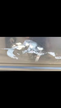 ستوته • ٢٠٢٢ • بابل الهاشمية