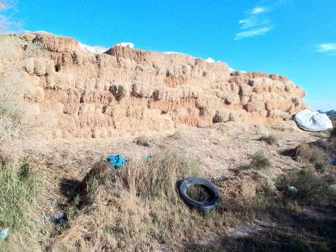 لبيع كبسات تبن حنطه مكان بابل الحمزه الغربي ***********
