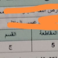عرصة • النموذجية • شارع عام