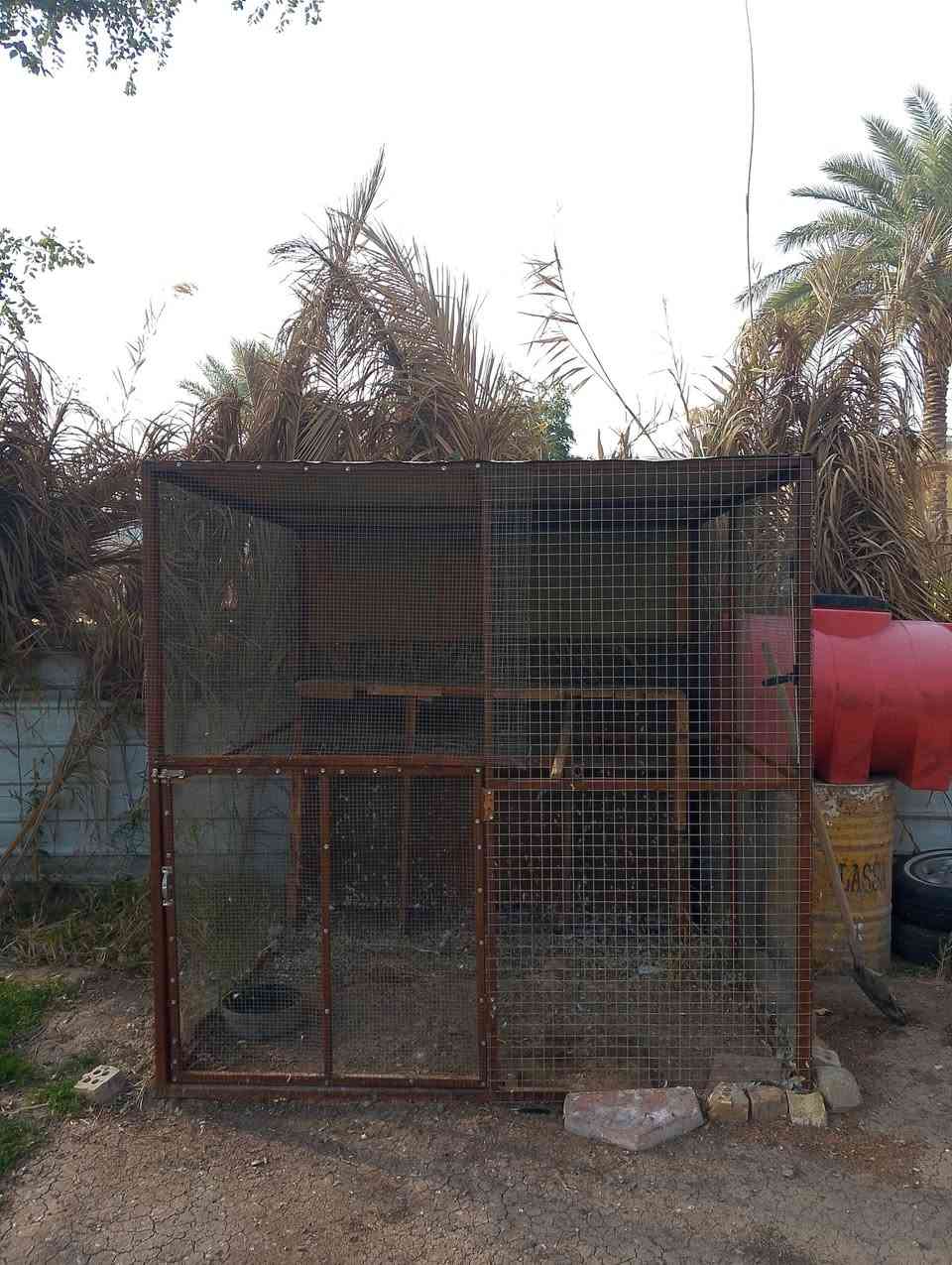 للبيع قفص حديد تسكام إرتفاع مترين وعرض مترين السعر 150 الشراي يتصل***********
