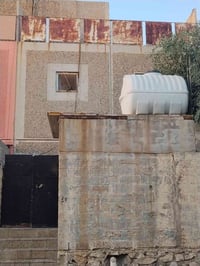 ١٢٧م • طابو • زهور البناء