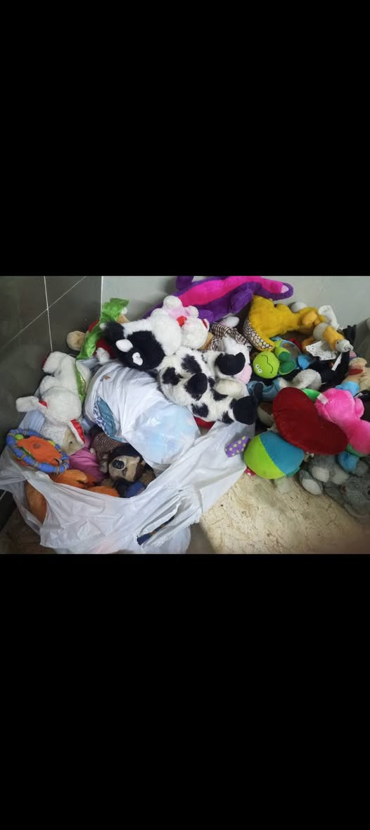 غراض بيت نضيف مكاني خطيب


**إذا كنت صاحب هذا الإعلان وتريد حذفه لأي سبب، رجاءا أرسل رسالة إلى الدعم الفني**