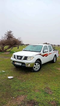 نافارا • ٢٠١١ • لوحات دهوك