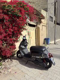 ماكس بوليس • كربلاء • مجال