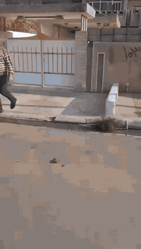 موصل حي السماح • ٩٢٢م • جبهه ٢٣ونص