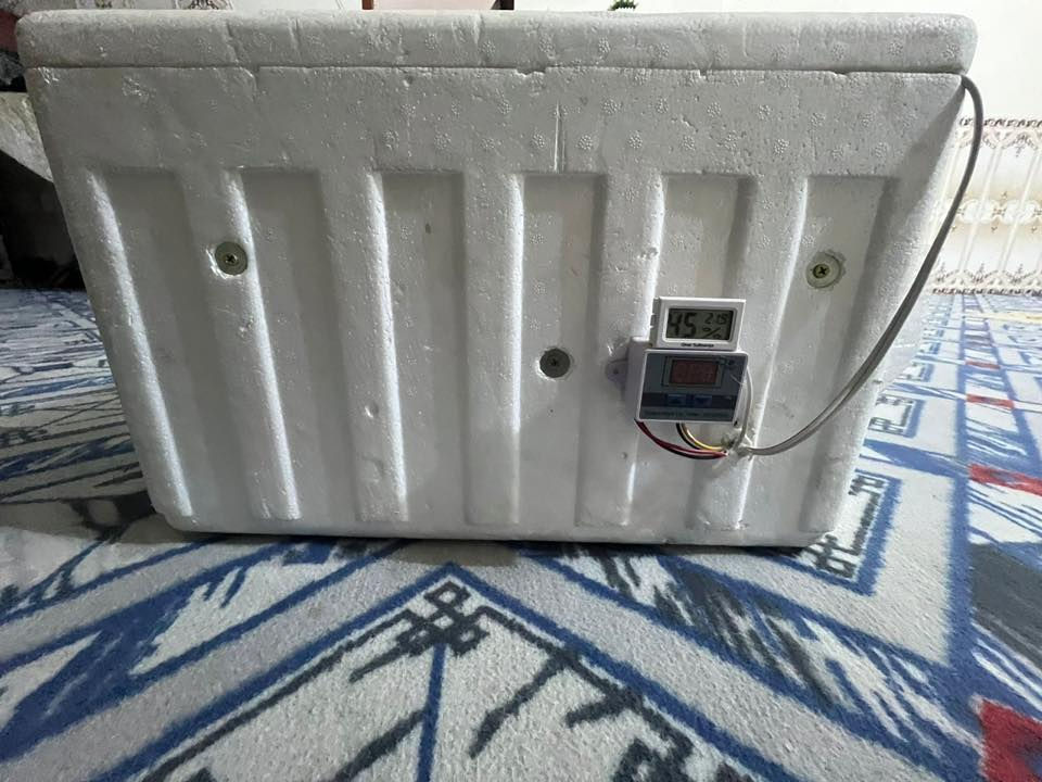 السلام عليكم 
فقاسه للبيع تاخذ 60بيضة 
الفقاسة كامله هيه وملحقاته 
شراي يتصل ***********
