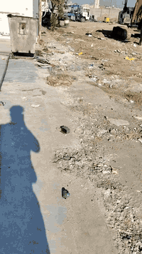 حفر الابار لارتوازي حفر منهولات تعبيرات الشارع*********** نعمل جميع محافضاات العراق 0
حفر الابار لارتوازي حفر منهولات تعبيرات الشارع*********** نعمل جميع محافضاات العراق ***********حفر الابار لارتوازي حفر منهولات تعبيرات
