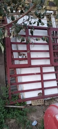 شباج • ١٫٥م×١٤٠سم • جديد