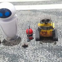 كوست رايدر • مقاس ٤٥ • ويل ٣٠