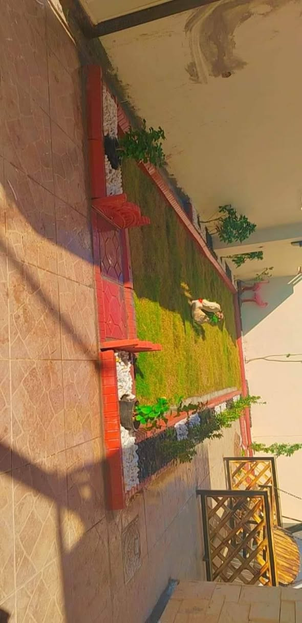 الحمد لله علئ حياة يدبرها الله برحمته🤲 حديقتك المنزلية🏡 راحة نفسية وراحة بال لاتوصف👨‍👩‍👧‍👦 نسق حديقة بيتك علئ ذووقك🤗 متخصص في تصميم وتنفيذ الحدائق المنزلية ب أحدث الديكورات 
تصميم وترتيب ديكورات + زرع حدائق +زرع اشجار +
تقليم الأشجار + قص ثيل + قلب وتنظيف تربه +
تنظيف وترتيب الحدائق ترتيب + تبديل تربه + تكريب وتلقيح كافه انواع النخيل.  +
ترتيب اطارات الحدائق بل حصو  الملون 
ترتيب سياج الحدائق بل طابوك الملون 
❄ يوجد  ادامه الحدائق والادويه  كافه انواع 🍶الادويه والمبيدات متوفره لدينا 🍀.***********. *********** دهل اوران, واسط
