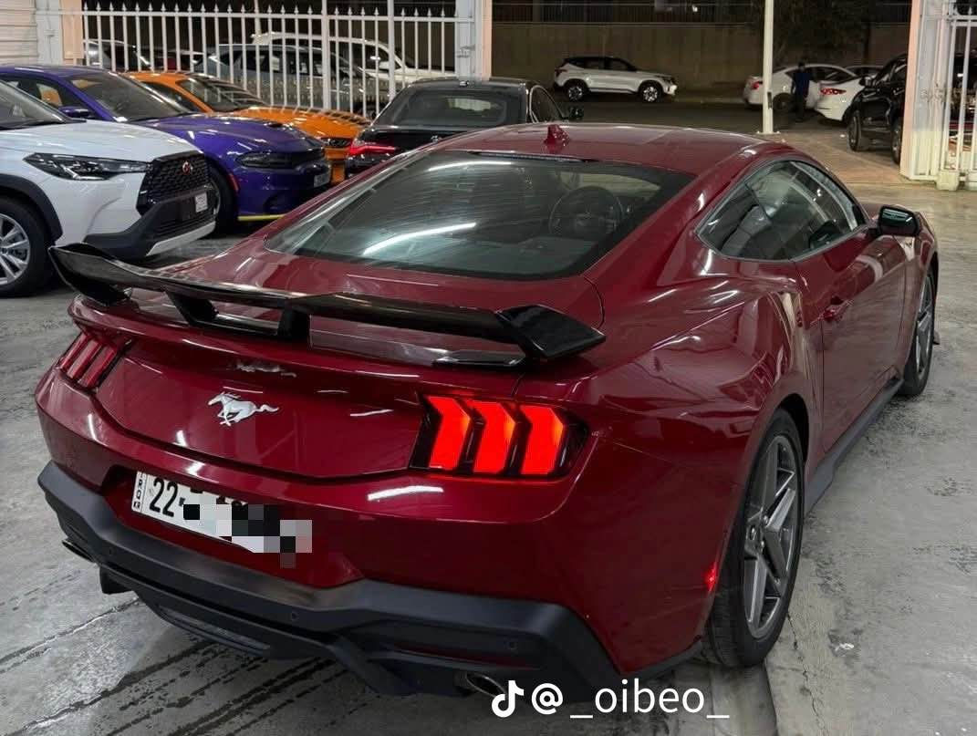 *********** بغداد, العراق
