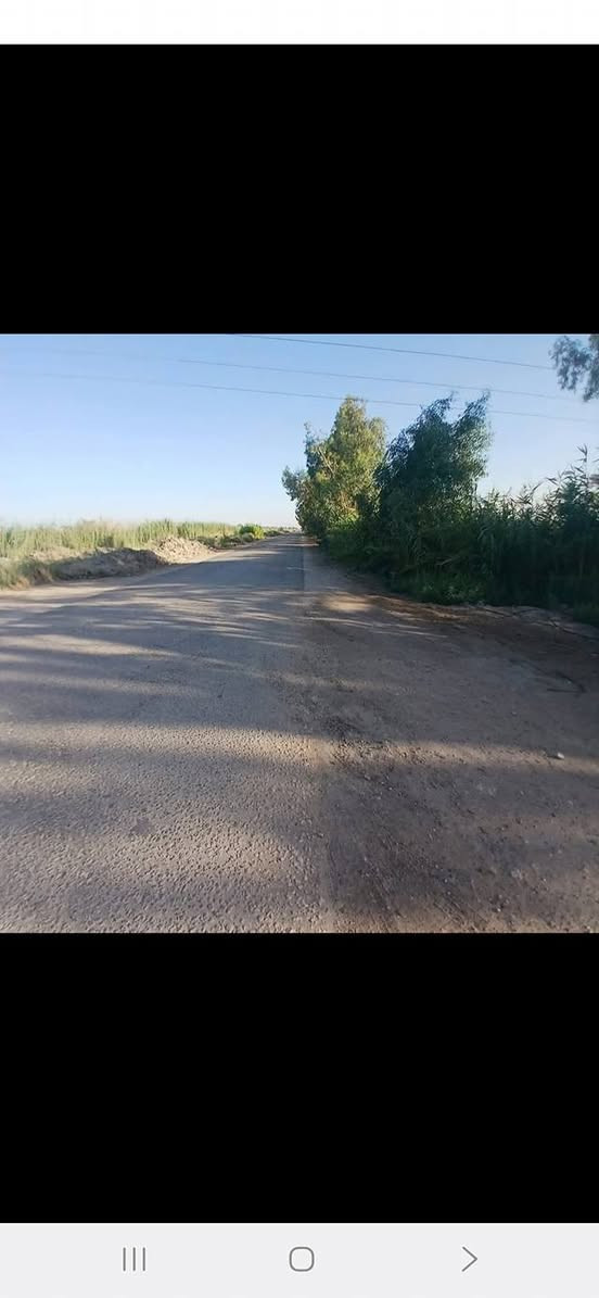 سلام عليكم ارظ زراعيه 7 دونم معه بيت معه حقل حلال تبعد عن السوق كلوين ركن عله شارع قضاء جبله حي الفرات فرع المصلخ رقم الهاتف ***********
