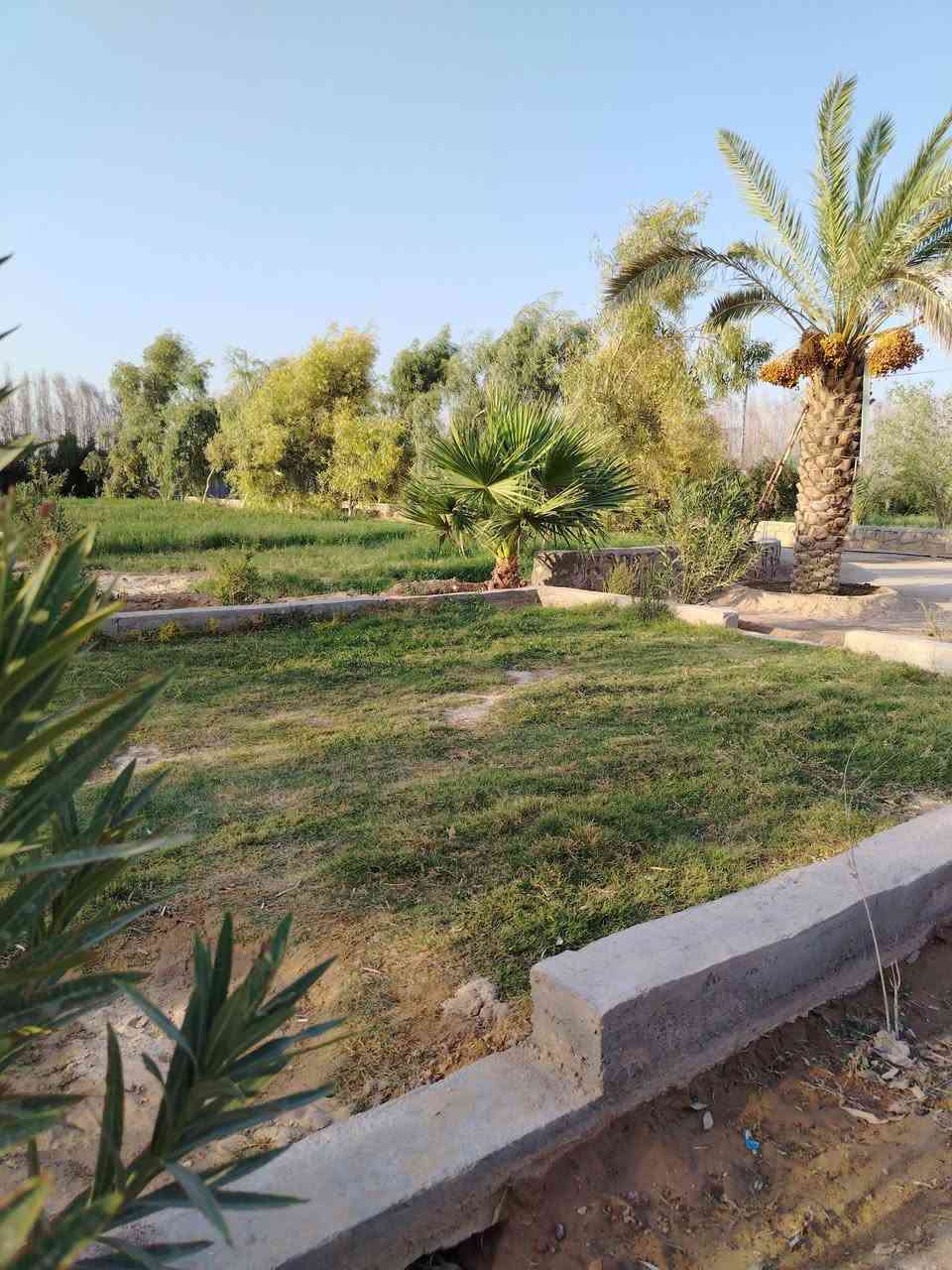 من رخصت الادمن
السلام عليكم للبيع مزرعه دونمين عقد 35 مشموله بقرار 320 طريق كربلاء نجف عمود 238 طريق ياعلي قرب مستشفى الامل تبعد عن الشارع العام 500متر المزرعه عبار على شارعين شارع 20 م وشارع 10م ماء وكهرباء مدارس مستوصف تحتوي على دار مساحه 350 متر 4 غرف نوم /صاله كبيره /مطبخ /استقبال 10 *4 /صحيات داخليه /صحيات خارجيه/تحتوي على بير ماء /نخل عدد22 مثمر ألوان ممتازه /أشجار رمان مثمر / مكان لتربيه الحلال /مولده خاصه/مولده شارع / تصلح حسينيه
 للاستفسار أكثر *********** غير متواجد على الفيس
