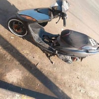 ماكس • نعومه • حلوة