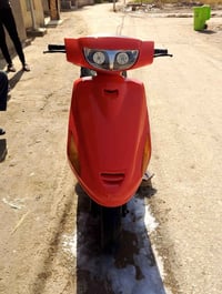 دراجة فراشة • كارتون • البصرة قضاء المدينة