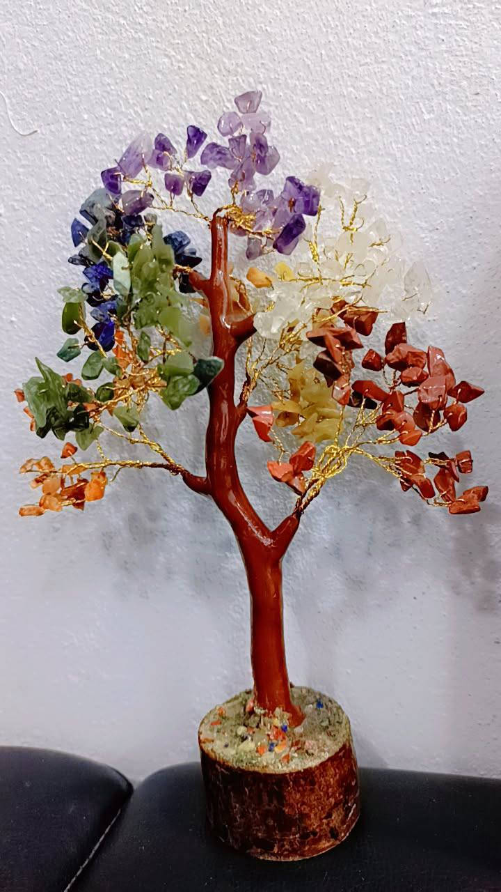 شجره حجر الجمشت.. جدا راقيه
مزاد أعلى سعر توصيل.. 5


**إذا كنت صاحب هذا الإعلان وتريد حذفه لأي سبب، رجاءا أرسل رسالة إلى الدعم الفني**