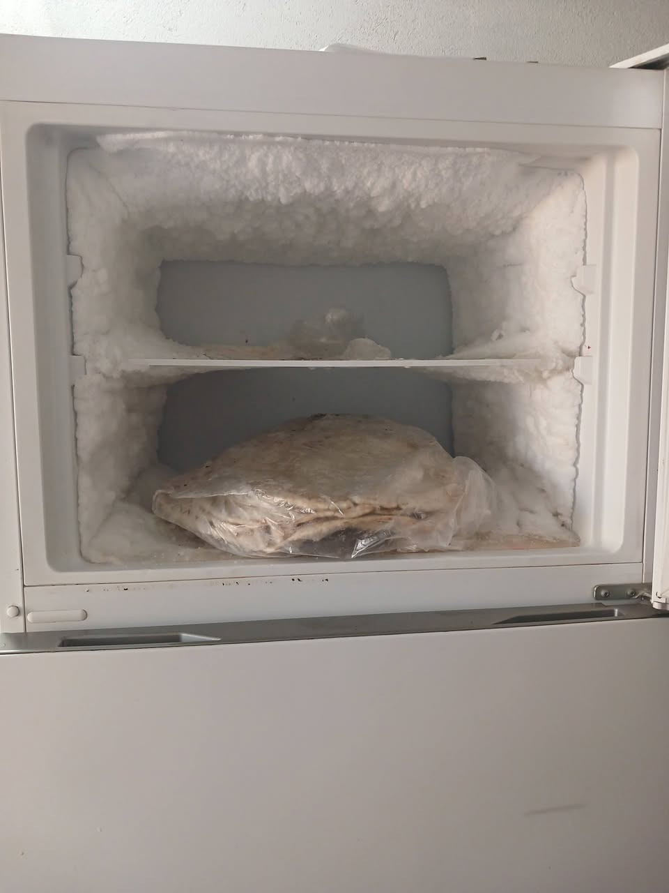 السلام عليكم ورحمة الله وبركاته
عندي هاي الثلاجه كلش نضيفه مابيها اي شي وهذا البايسكل 
اريد ابيعهن مكاني بعقوبه التحرير الفلكه الاخيره


**إذا كنت صاحب هذا الإعلان وتريد حذفه لأي سبب، رجاءا أرسل رسالة إلى الدعم الفني**