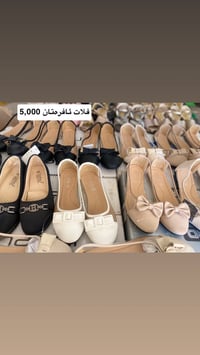 حراج • السعر مكتوب • کەلار-سمود
