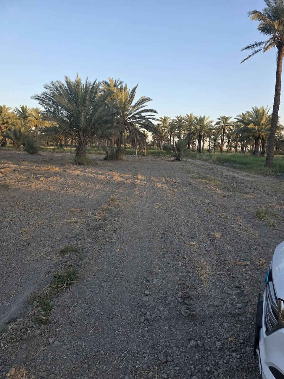للبيع  ارض موقع مميز
دونمين المساحه 5000متر طابو زراعي سند 25  
متوفره جميع الخدمات السكن  نهر سقي لاينقطع شتاء وصيف كهرباء وماء اساله ومولد ذهبي وكذالك نخيل متعدد الأصناف 
الموقع المحاويل قريه البوعلوان شارع ابوالطياره  قرب جامع البتول 
علما يتععهد البائع ان العقار خارج جميع المحرمات 
للأستفســـــــار الاتصال على الأرقام التأليه 

***********

***********

او زياره مكتب المحامي العقاري علي راجي العلواني الكائن المحاويل مدخل حي 17 قرب فينيسا
