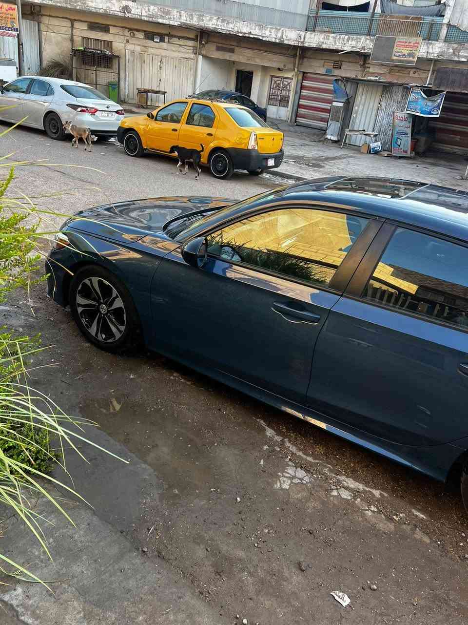 السلام عليكم هوندا سيفيك 2025 هايبرد رقم بغداد باسمي السيارة حادثها جاملغ تبدل ونصبغ وصبغ باب السايق ومباوك شويه من الباب الوراه يعني بجم كبس ماشية 20 الف تخم تاير جديد وتخم ويل كب مال وكالة الامارات حجم17 يعني سيارة طستها تخبل مواصفات السيارة فتحه كشنات نص جلد نص مخمل وتدفئه كشنات تشغيل عن بعد تنزيل الجام بالريمونت مكانها شارع فلسطين وسعرها 161 وبيها مجال بسيط اخوان فقط بيع بدون مراوس ورقمي ***********
