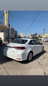 كورولا • ٢٠٢٤ • أربيل