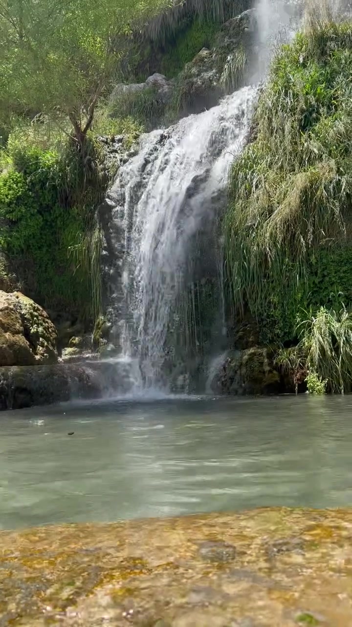 سارع بالحجز و استمتع معنا
آخر مقاعد
موعد الانطلاق بعد عشره محرم
ايران بري 
🚌🚌🚌🚌🚌🚌🚌🚌

14 يوم 
 قم ومشهد والشمال بسعر(230) الف فقط
10 يوم 
قم و مشهد 🚌🚌
بسعر(170)الف دينار عراقي 
ملاحضة
كل البرامج تشمل
3 وجبات طعام مشهد
🥯🍔🍟🍲🍛
🍮🫕🍜
جولات دينية وسياحية 
على حساب الشركة 

مع اجمل الجولات السياحيه 
🚠⛵🎡🏝️🕌
الشمال 
‎🔴 البرنامج يشمل👇👇
‎❤ جالوس . رامسر . نوشهر ❤ ساحل بحر قزوين ❤ نمك ابرود ❤ الغابات ❤ بحر قزوين ❤ موتل قو ❤
‎التلفريك ❤ احلى الالعاب المائية في بحر قزوين السكي والمنطاط والجاتسكي وطرادات والبرشوت وجميع الالعاب الجميلة ❤ غابات 
‎ 🌹 تلفريك 🌹
جوله دينية
 في قم زيارة السيدة معصومه..
جامع جمكران . بيت النور 
مشهد المقدسة 
 زيارة الامام الرضا ع.
 قدم الإمام الرضا.
. زيارة ياسر وناصر اخوان الإماالرضا ع..
جبل كوسنجي 

ملاحضة 

فرق الغرفة الثنائي 50 الف للنفرين طول الرحلة 
👫👫👫👫
فرق السنكل 70الف
الطفل من عمر سنتين ودون مجانا
🤶🤶🤶🤶
الطفل من سنتين إلى6  سنوات نصف بطاقة
الطفل من عمر سبع سنوات وفوق  بطاقة كاملة 
يرجى جلب وكالة خاصة للأطفال تحت سن 18 عام من الأب 

شوف التعليقات موثقة فنادقنا وباصاتنة ورحلاتنة

------------------------------
⚠️ وفرنا خدمة الحجز عن طريق الواتساب لعوائلنا
في بقية المحافظات 
———————————————-
🔘 او مراسلة الصفحة 🔘
🧭واتساب ***********
🔹————————-
