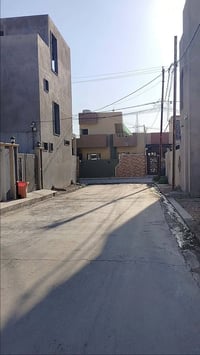زيونه • ٢٠٠م • واجهة ٩ونص