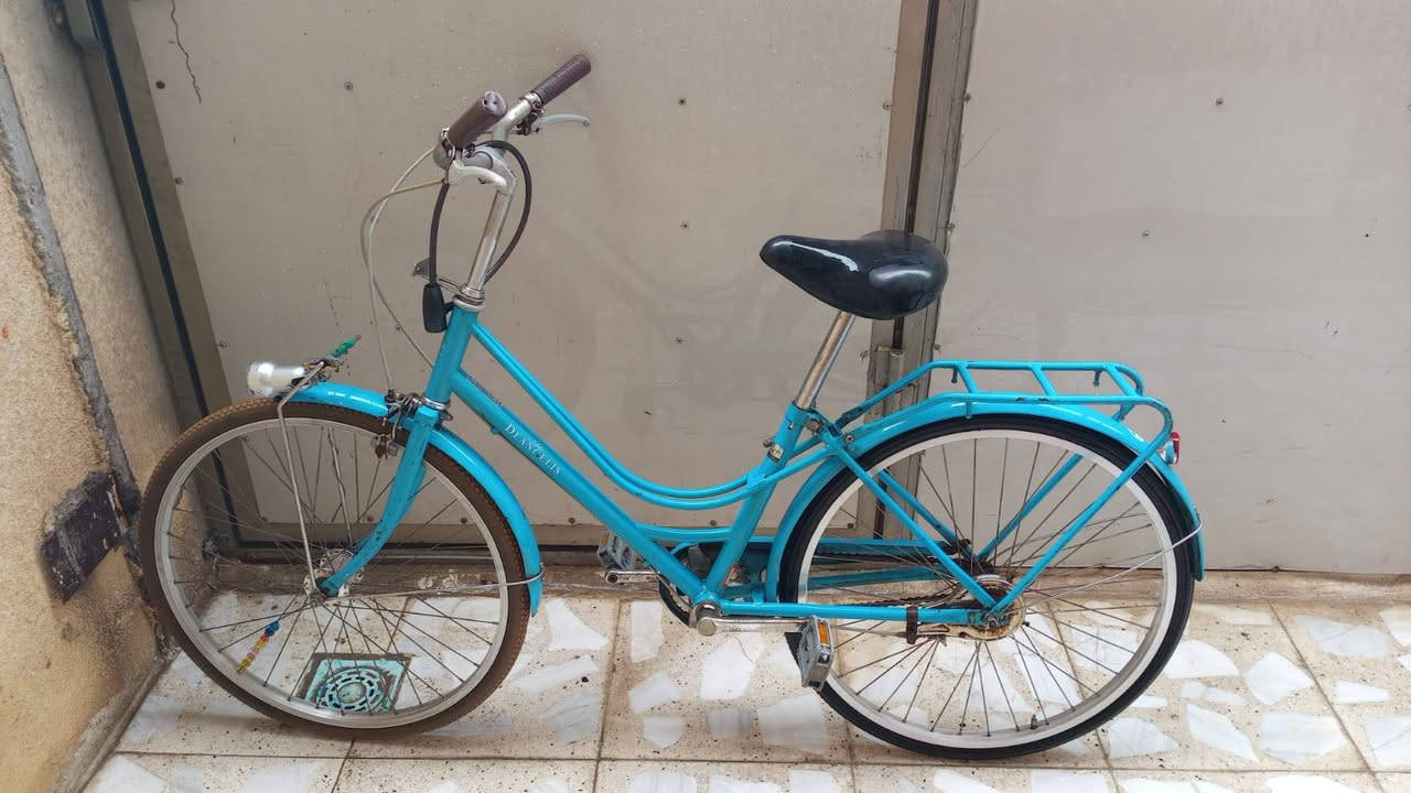 السلام عليكم
عندي بايسكل بطه حجم 24 بريك امامي وخلفي سعره 100 وبي  مجال بسيط حق الجيه للتواصل ***********
